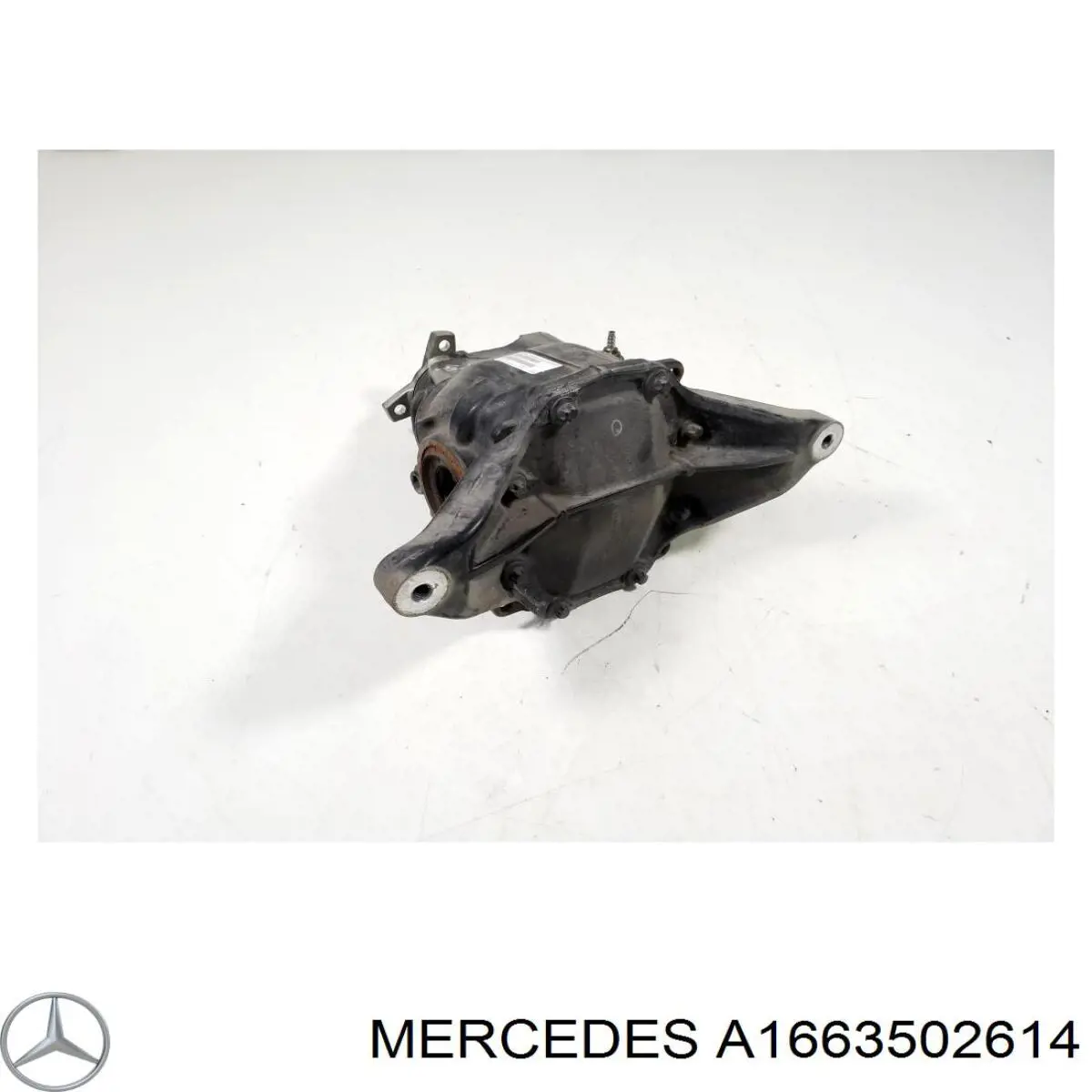 A1663502614 Mercedes 