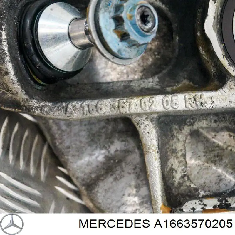 Купити A1663570205 Mercedes 