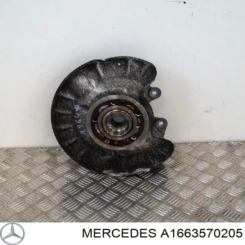 A1663570205 Mercedes 