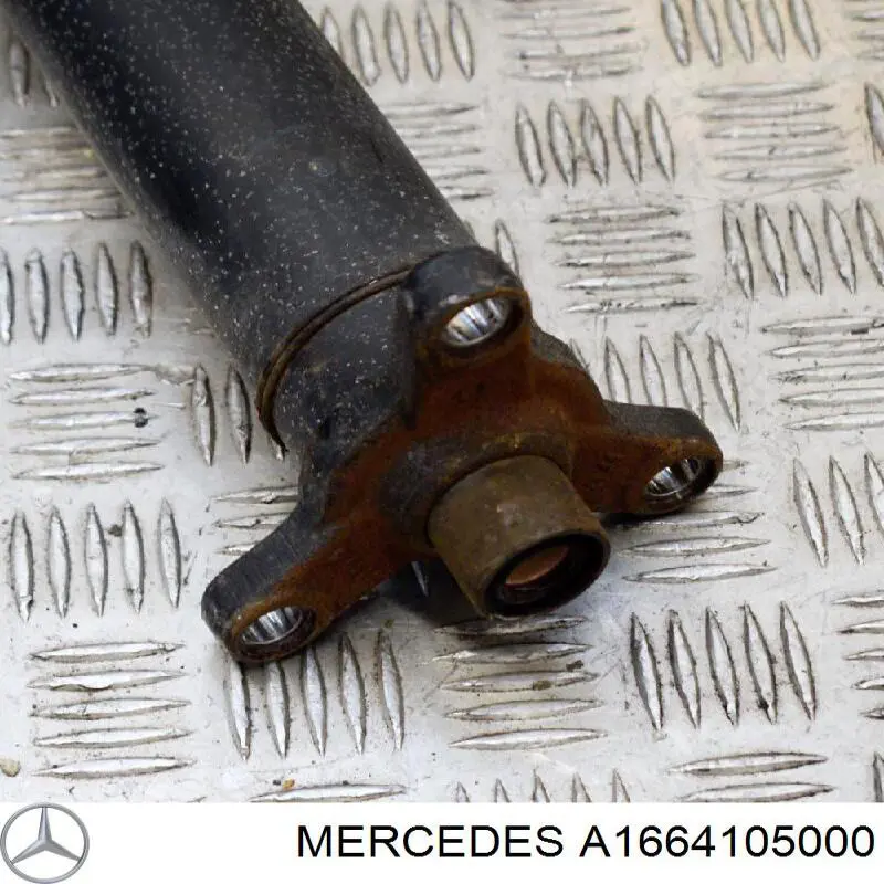 A1664105000 Mercedes 