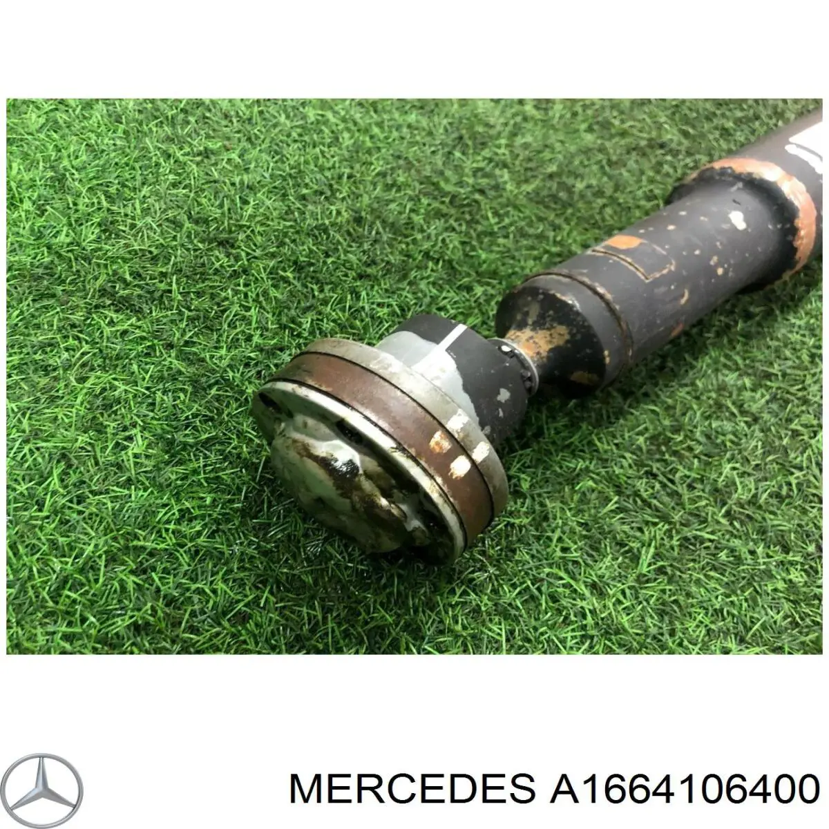 Купити A1664106400 Mercedes 