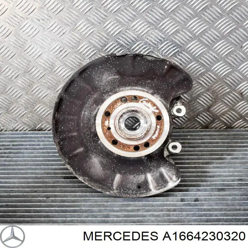 Захист гальмівного диска заднього, лівого A1664230320 Mercedes