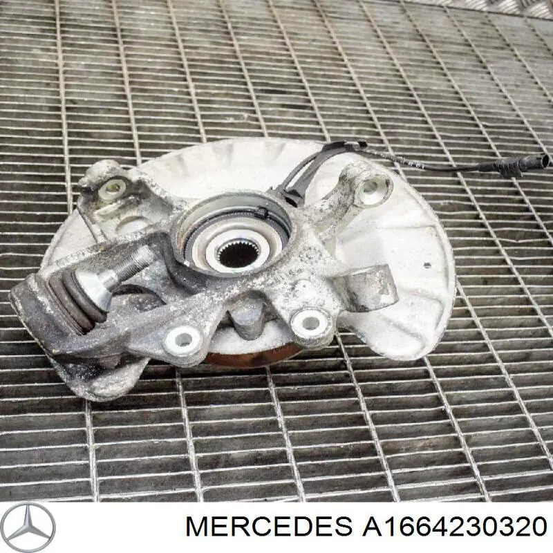 A1664230320 Mercedes Захист гальмівного диска заднього, лівого