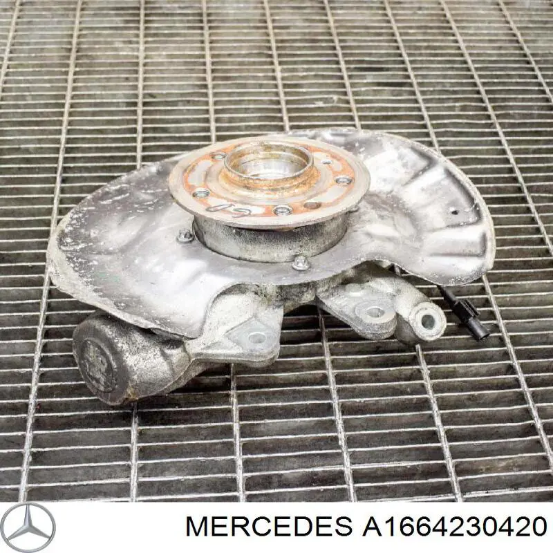 Купити A1664230420 Mercedes Захист гальмівного диска заднього, правого