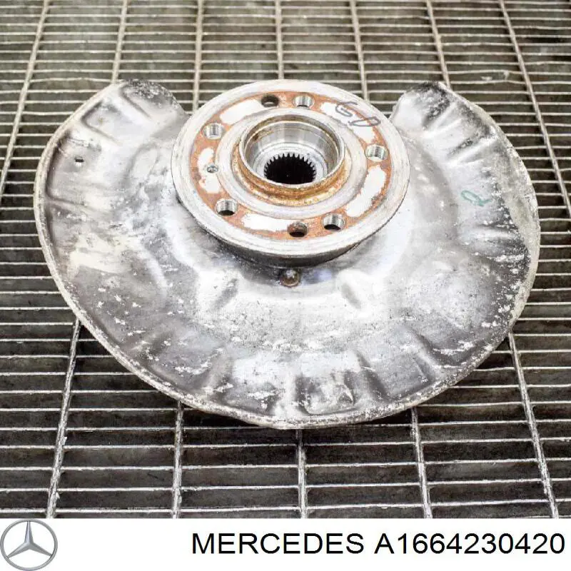 A1664230420 Mercedes Захист гальмівного диска заднього, правого