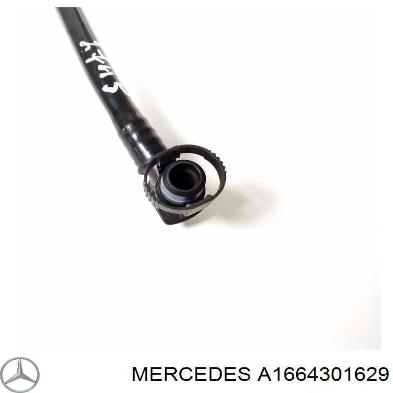 Купити A1664301629 Mercedes 
