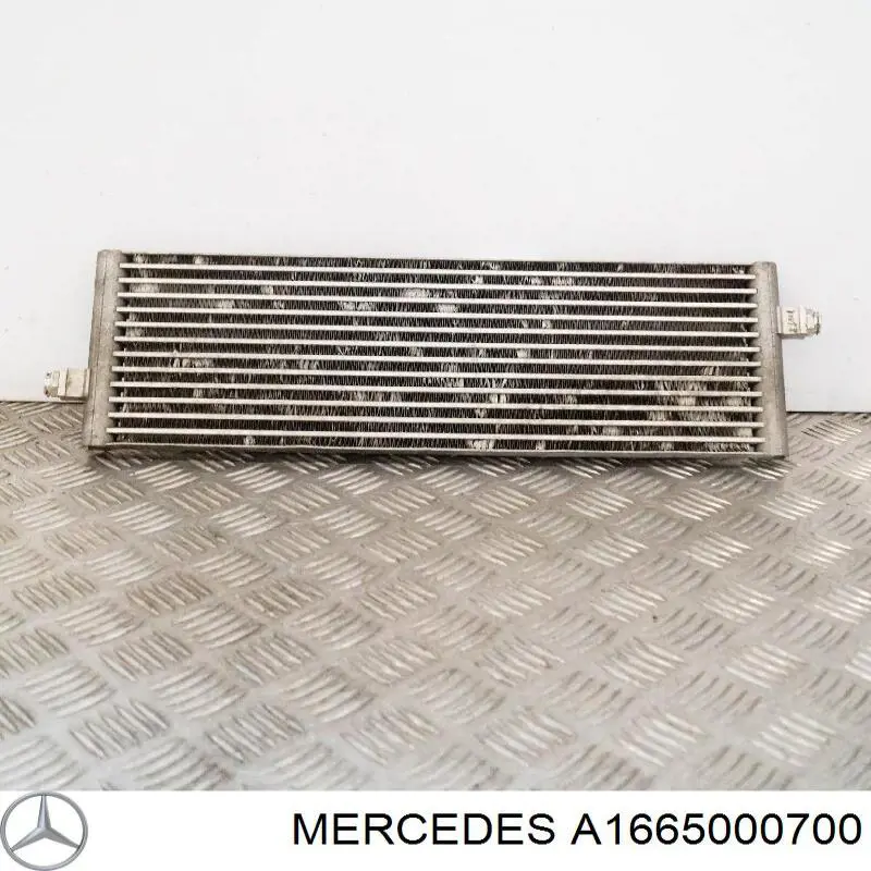A1665000700 Mercedes 