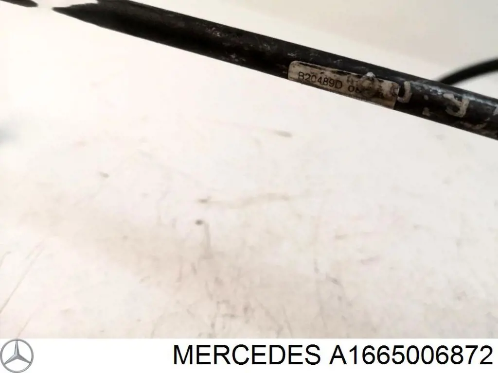 A1665006872 Mercedes 