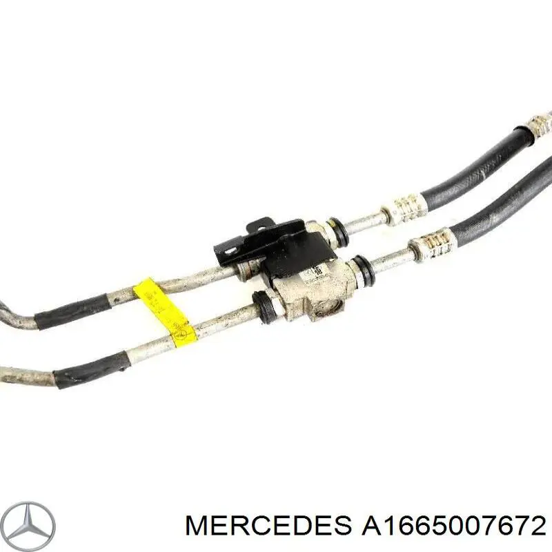 A1665007672 Mercedes 