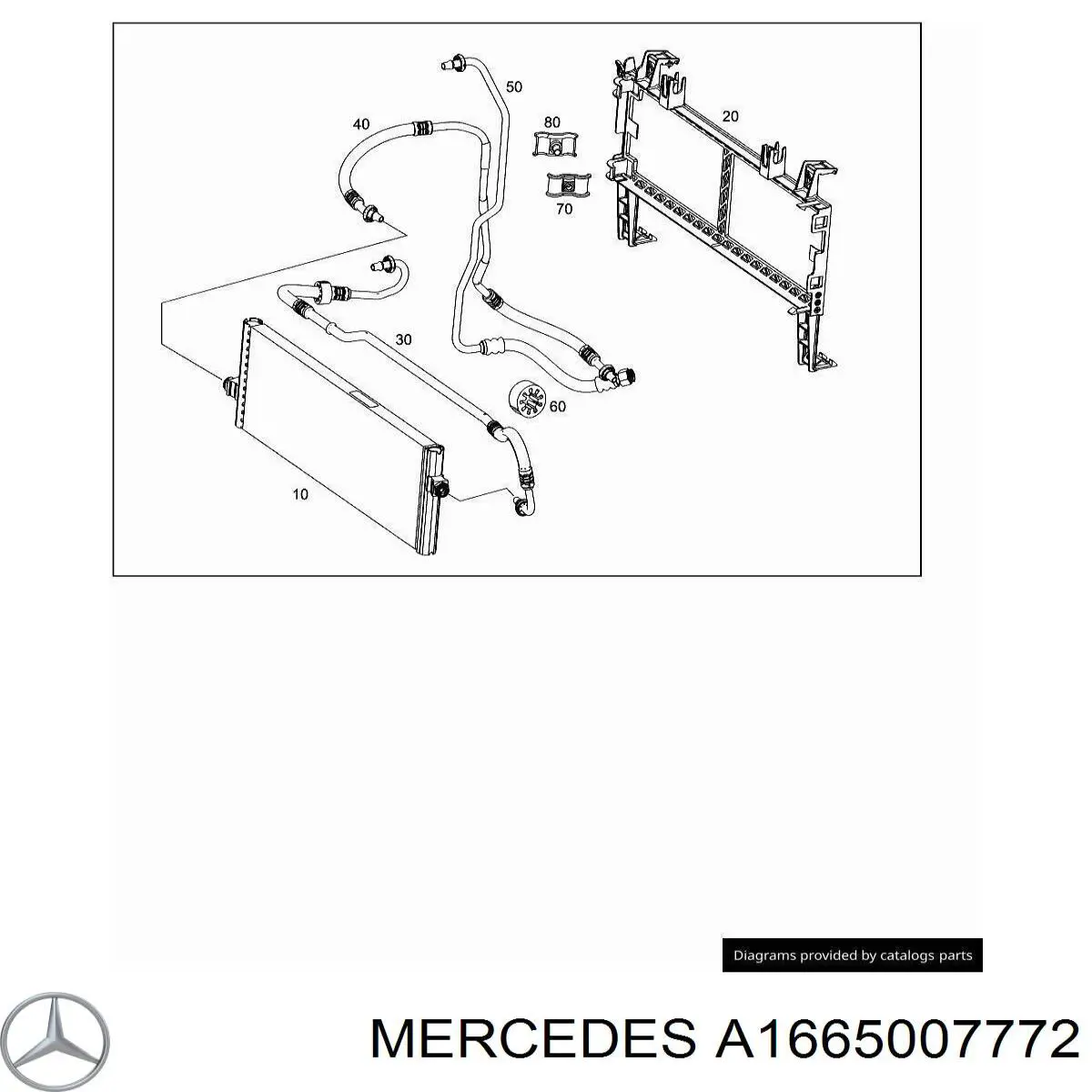 A1665007772 Mercedes 