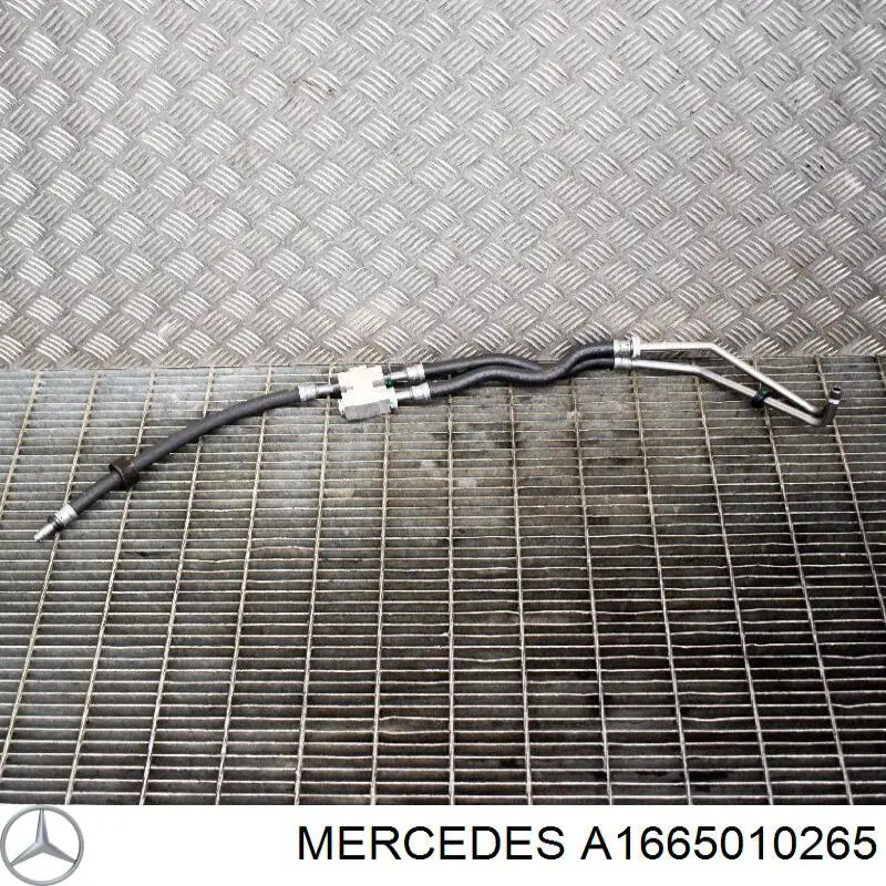 A1665010265 Mercedes Термостат системи змащення двигуна