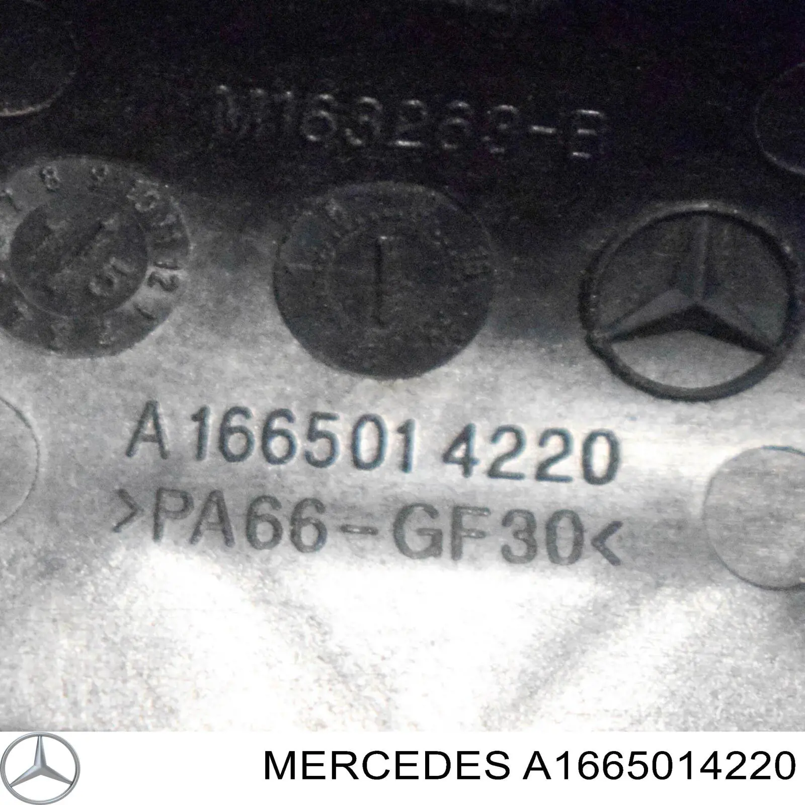 A1665014220 Mercedes 