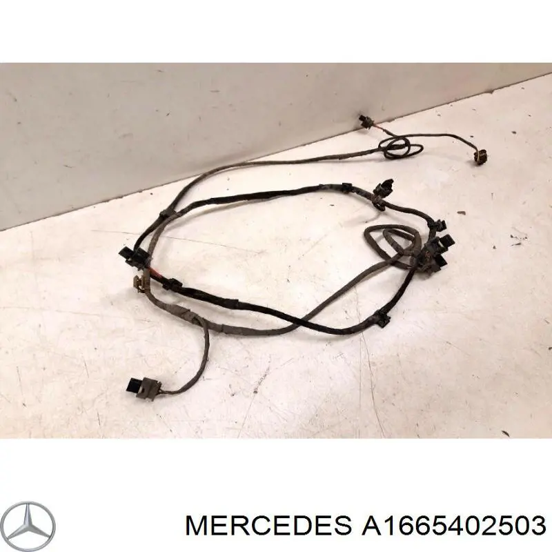 A1665402503 Mercedes 