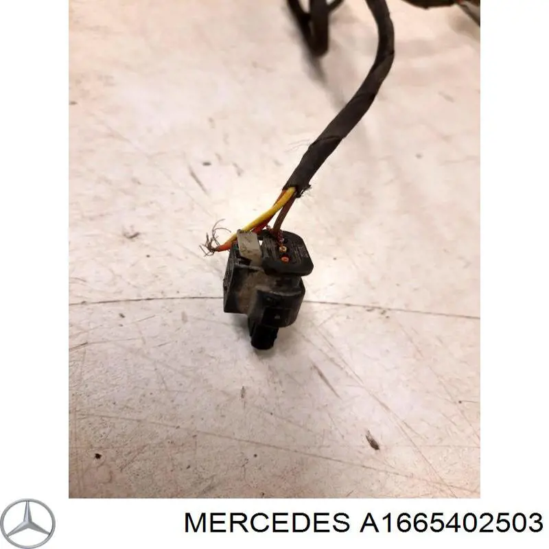 Купити A1665402503 Mercedes 