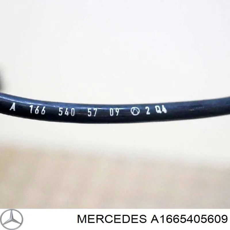Купити A1665405609 Mercedes 