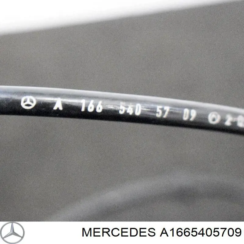  Mercedes A1665405709 ціна, від 6.33 USD
