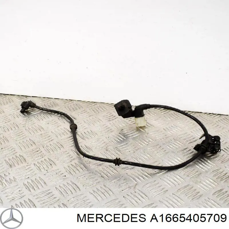 A1665405709 Mercedes 