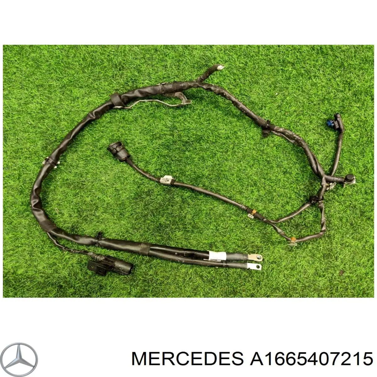 A1665407215 Mercedes 