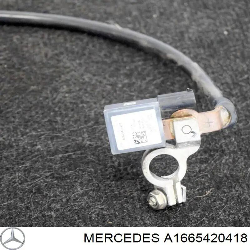  A1665420418 Mercedes