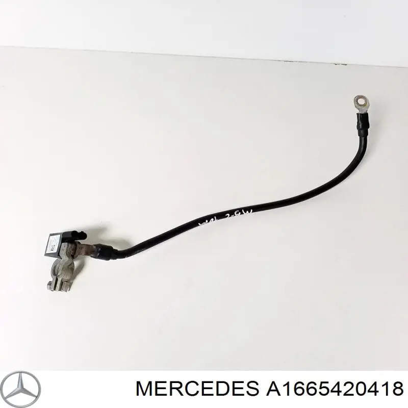A1665420418 Mercedes 