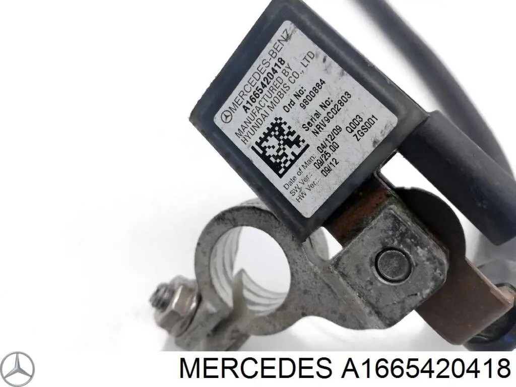 Купити A1665420418 Mercedes 