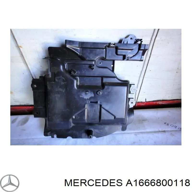 A1666800118 Mercedes 