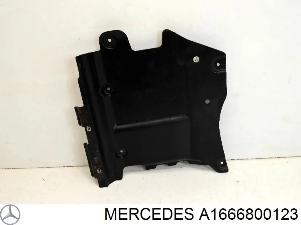 A1666800123 Mercedes 
