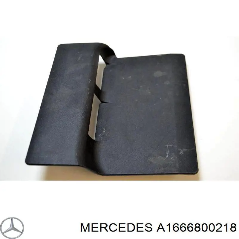  A1666800218 Mercedes