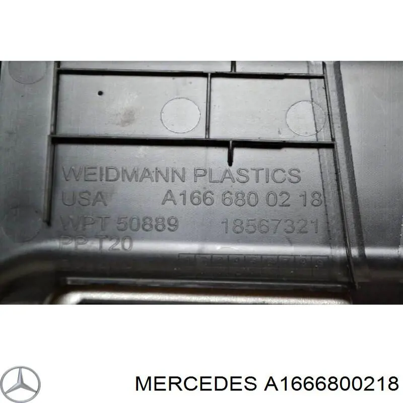 A1666800218 Mercedes 