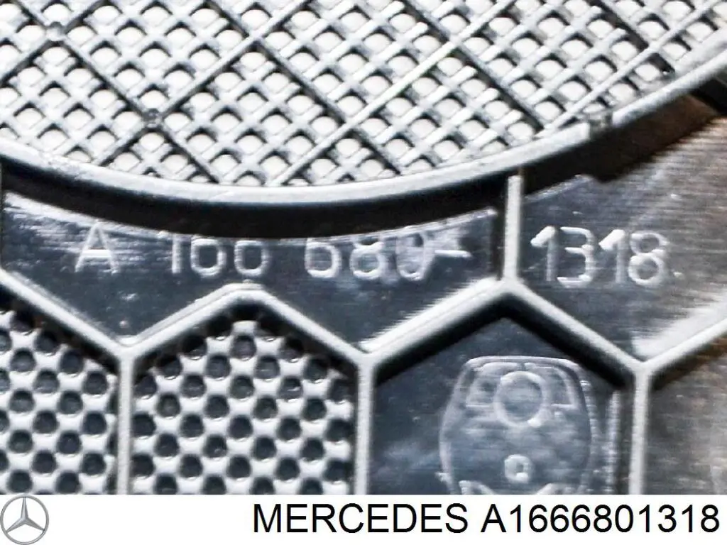 A1666801318 Mercedes 