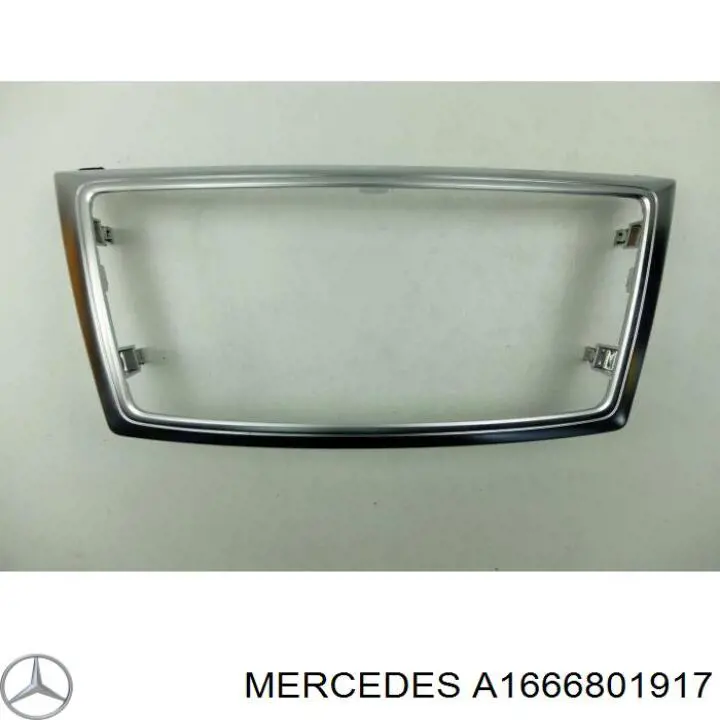 A1666801917 Mercedes 