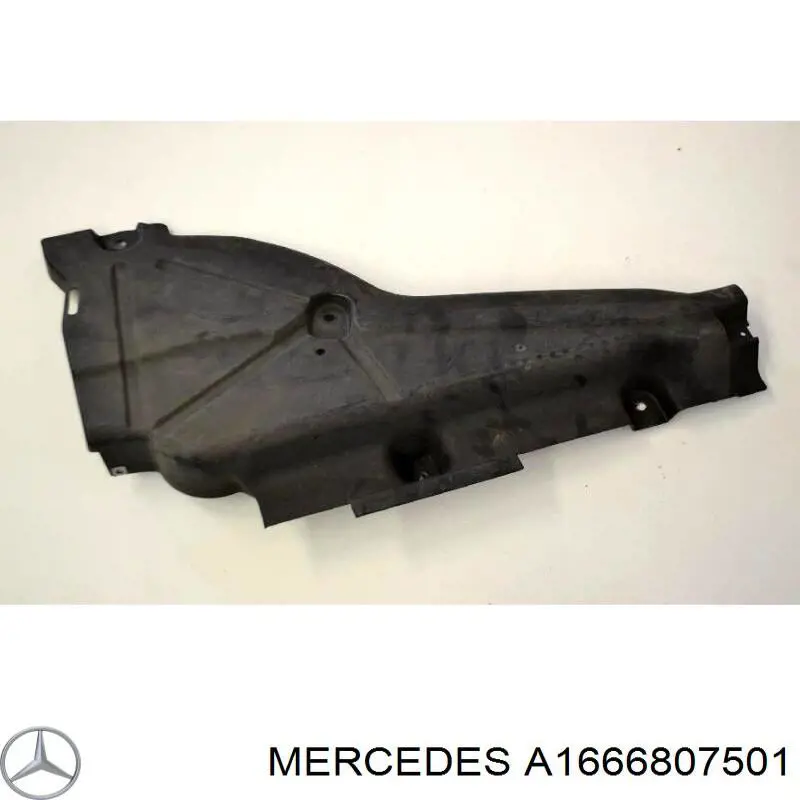 A1666807501 Mercedes 