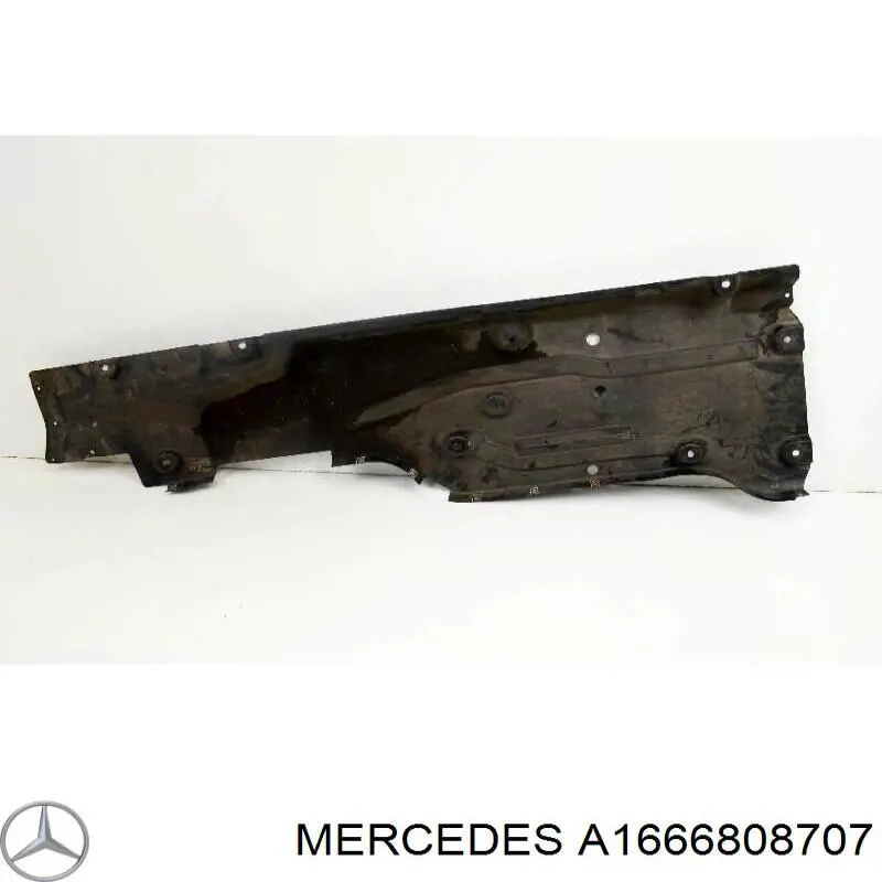 A1666808707 Mercedes 