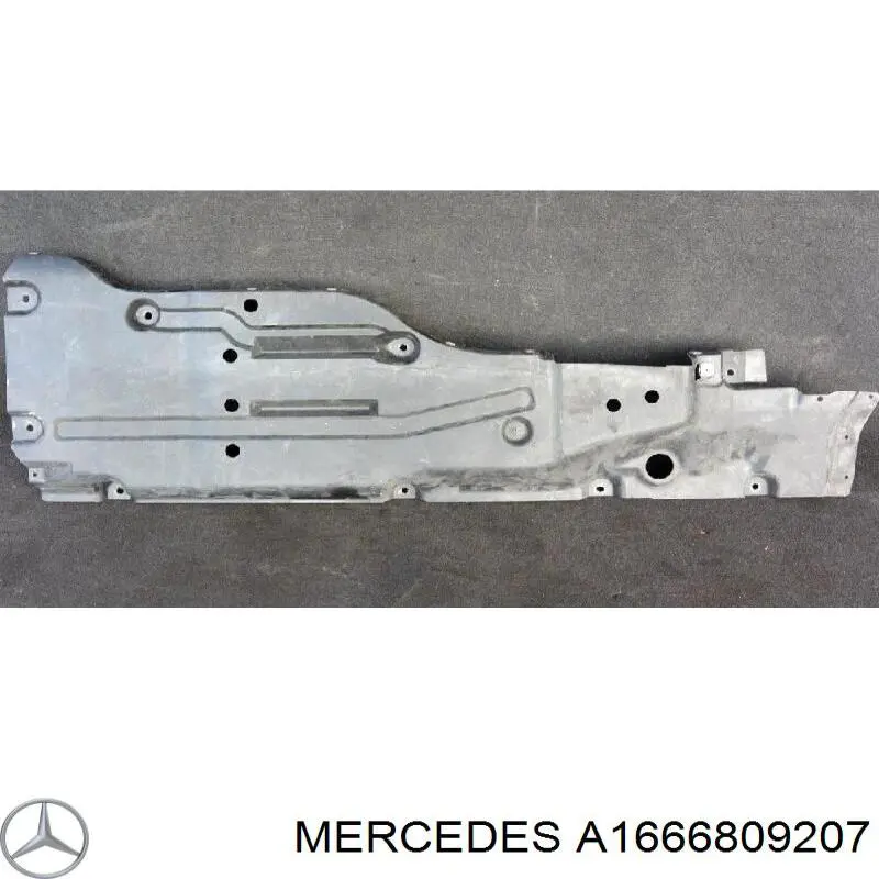 A1666809207 Mercedes Захист днища, лівий