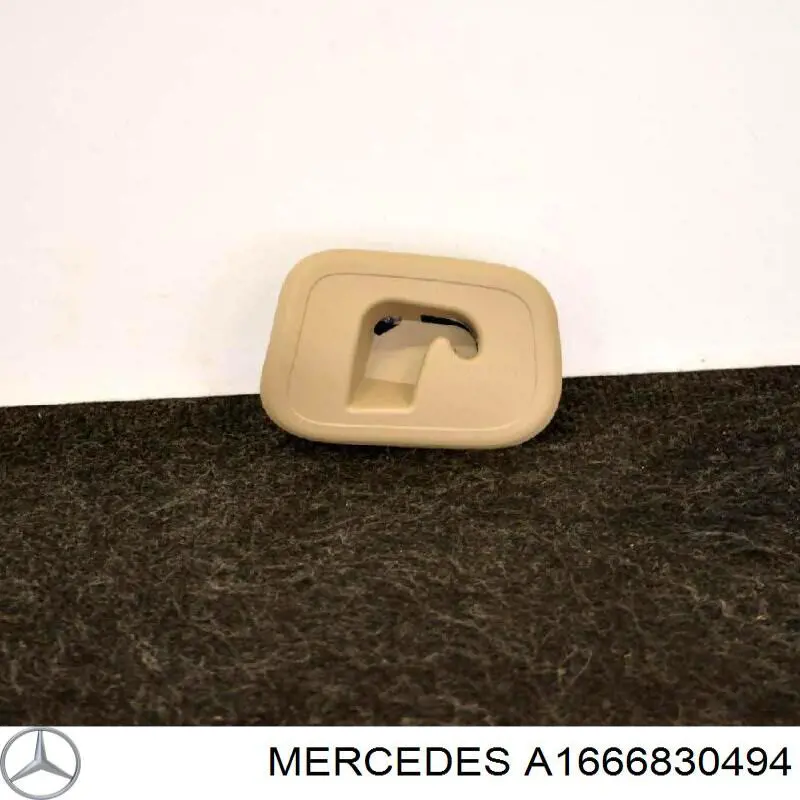A1666830494 Mercedes 