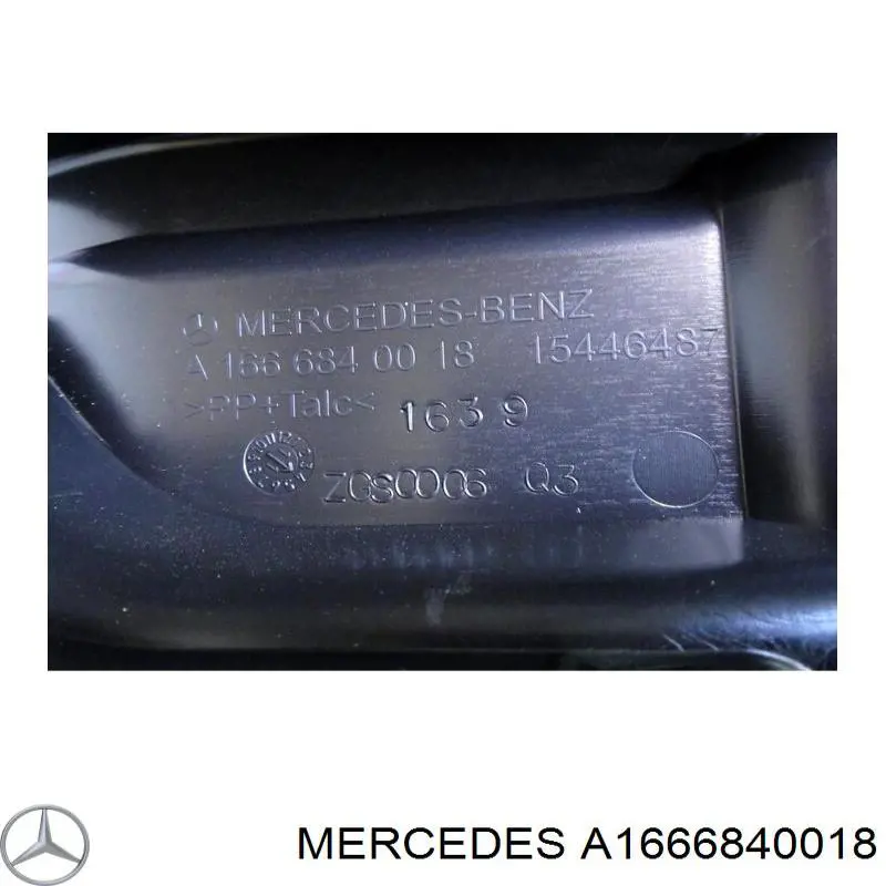 A1666840018 Mercedes 