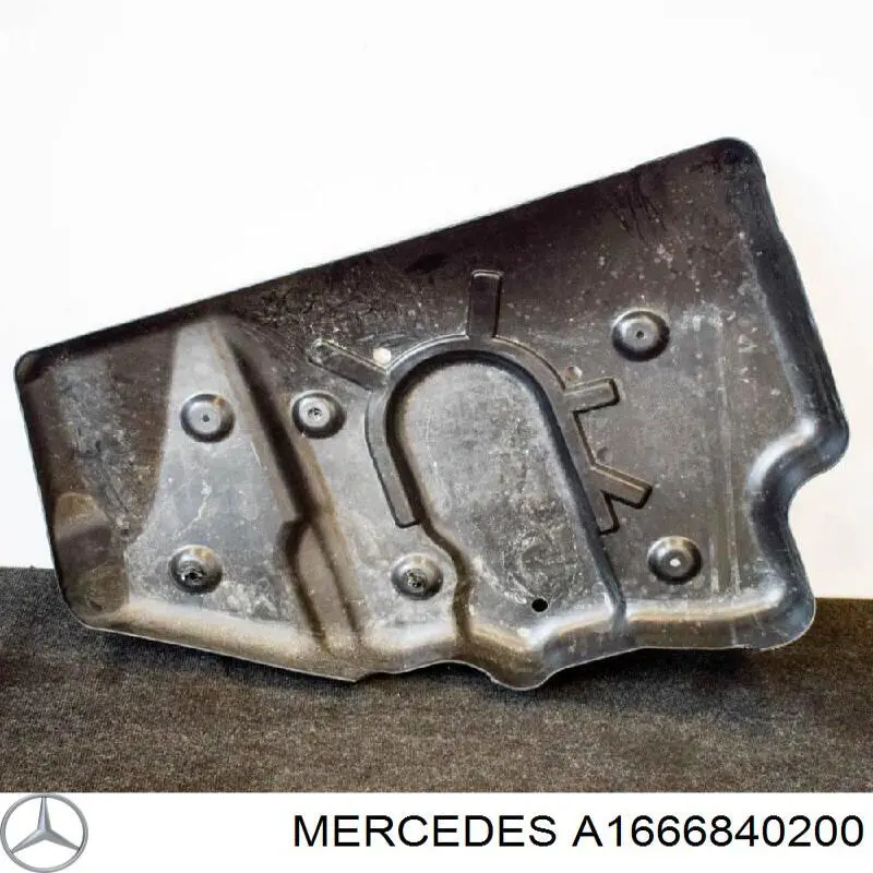 A1666840200 Mercedes 