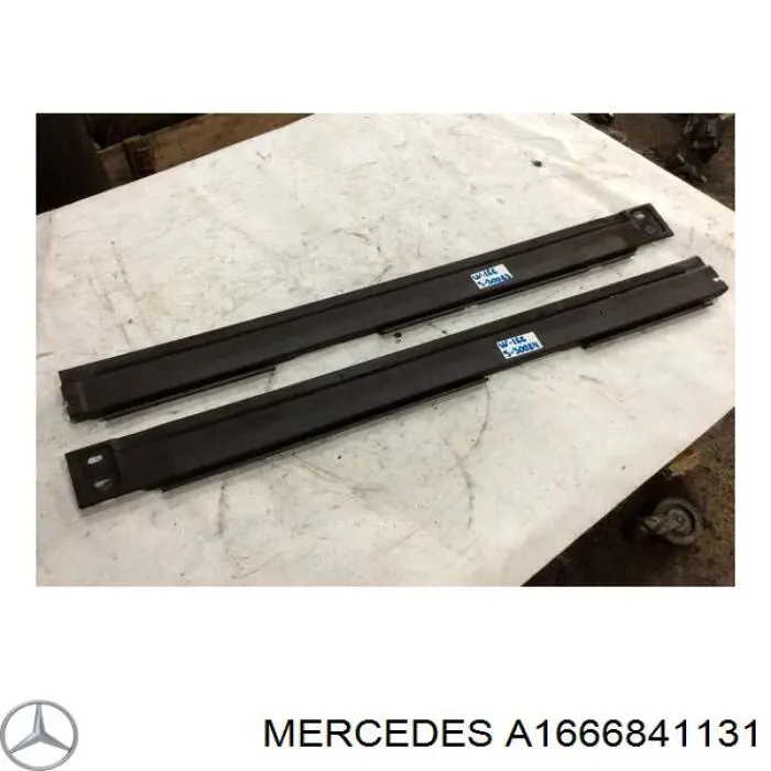A1666841131 Mercedes 