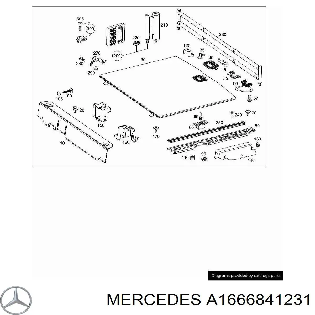 A1666841231 Mercedes 