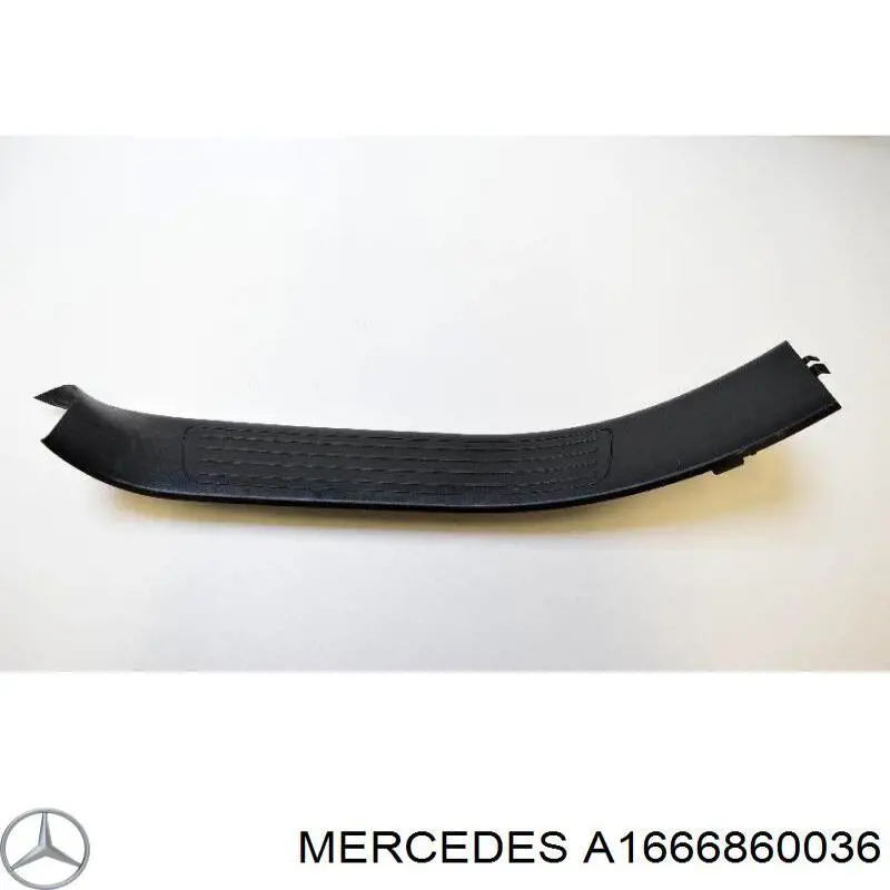 A1666860036 Mercedes 