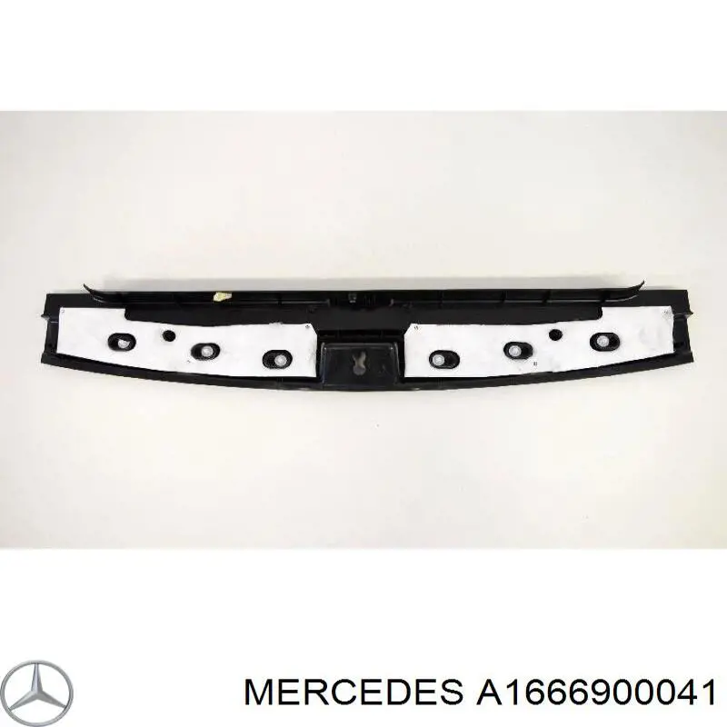 A1666900041 Mercedes 