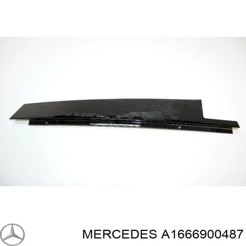  A1666900487 Mercedes