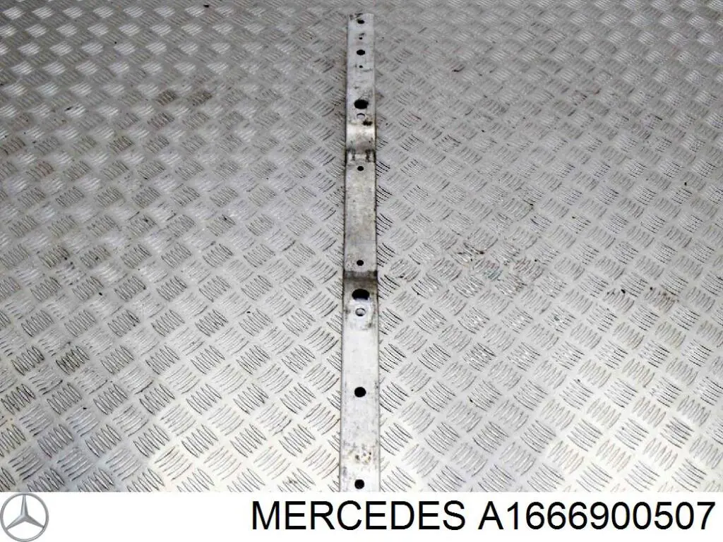 A1666900507 Mercedes 