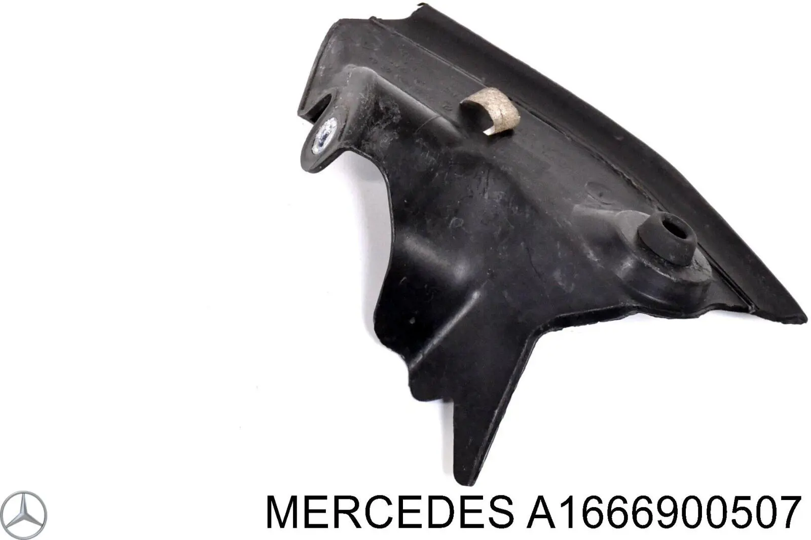 A1666900507 Mercedes 