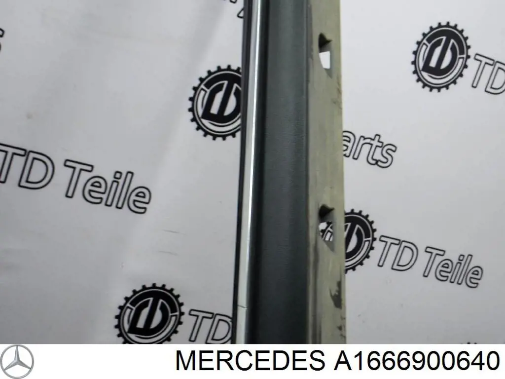  A1666900640 Mercedes