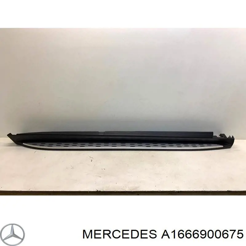 A1666900675 Mercedes 