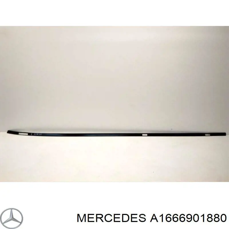 A1666901880 Mercedes 