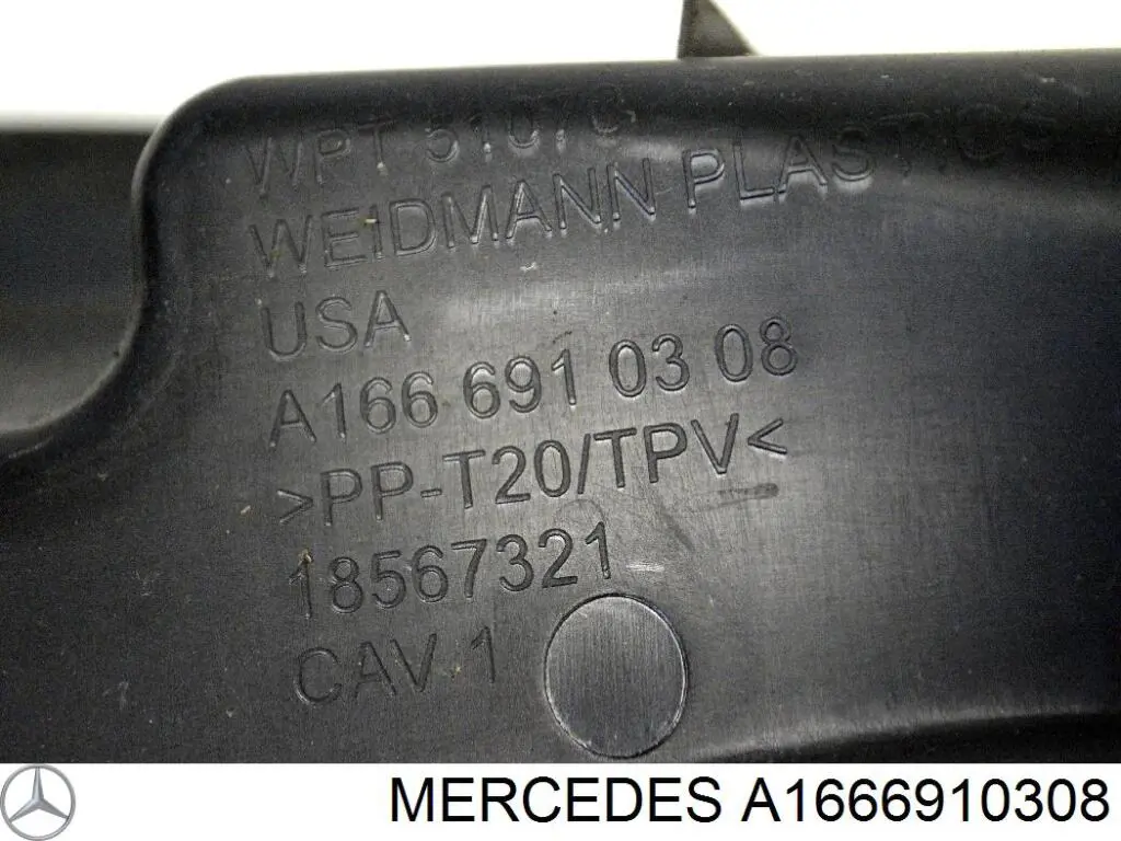 A1666910308 Mercedes 