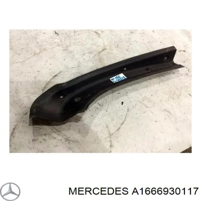 A1666930117 Mercedes 