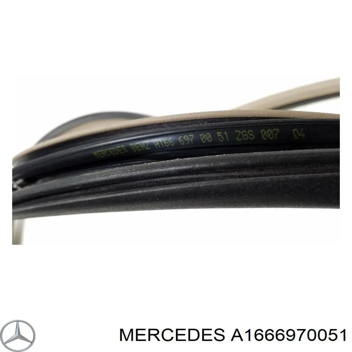 A1666970051 Mercedes 
